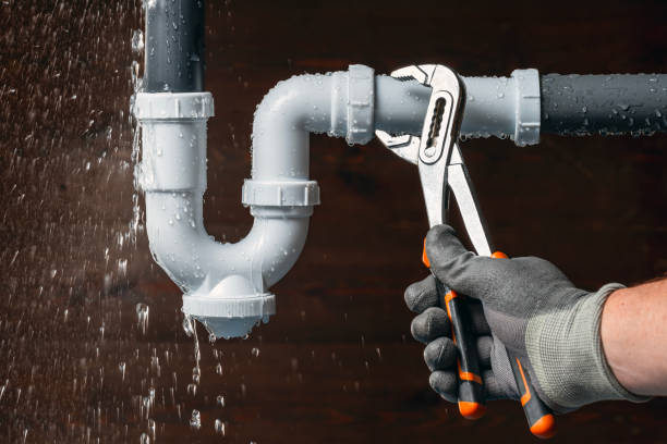 Professional Plumbing technician working in Lennon, MI
